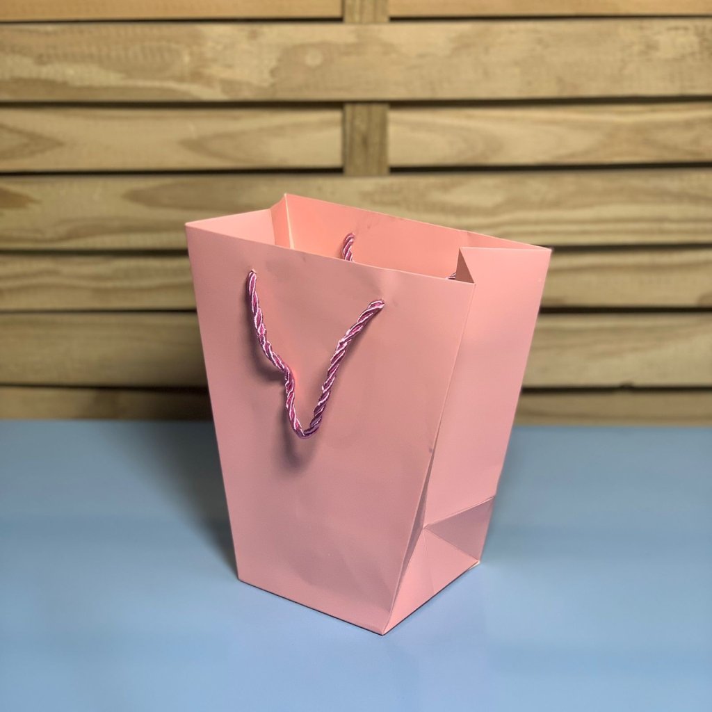 BOLSA DE PAPEL PARA PRESENTE 20CMX18CMX10CM C/12 055843