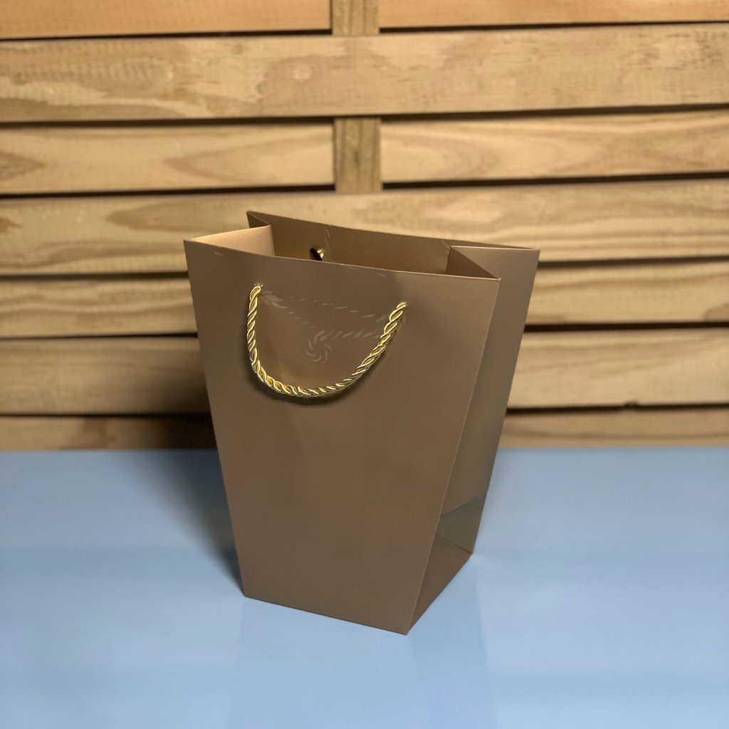 BOLSA DE PAPEL PARA PRESENTE 20CMX18CMX10CM C/12 055843