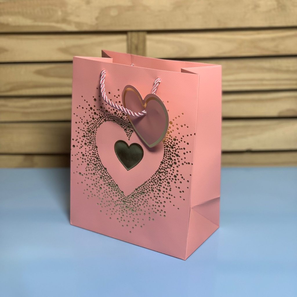SACOLA PARA PRESENTE DE PAPEL 23X18X10CM 561854