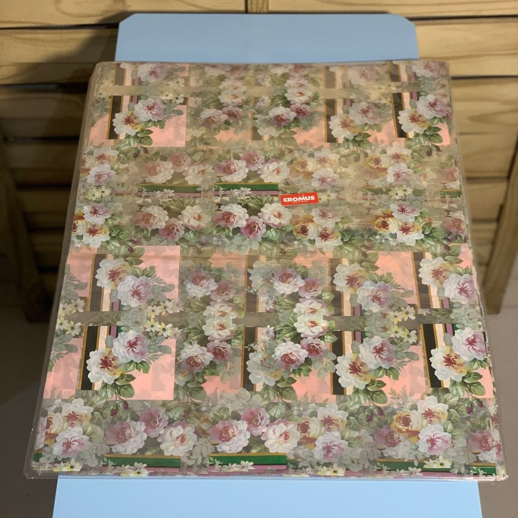 SACO TRANSP 45X59 LIZ C/25UN 11200718 307841