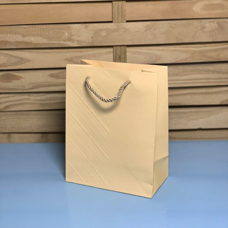 SAC0046 SACOLA PARA PRESENTE DE PAPEL 240 18X23X10CM 974009