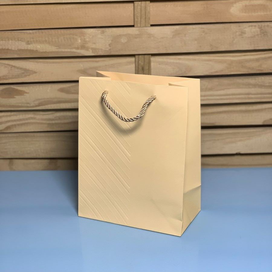 SAC0047 SACOLA PARA PRESENTE DE PAPEL 240 26X32X12CM 974016