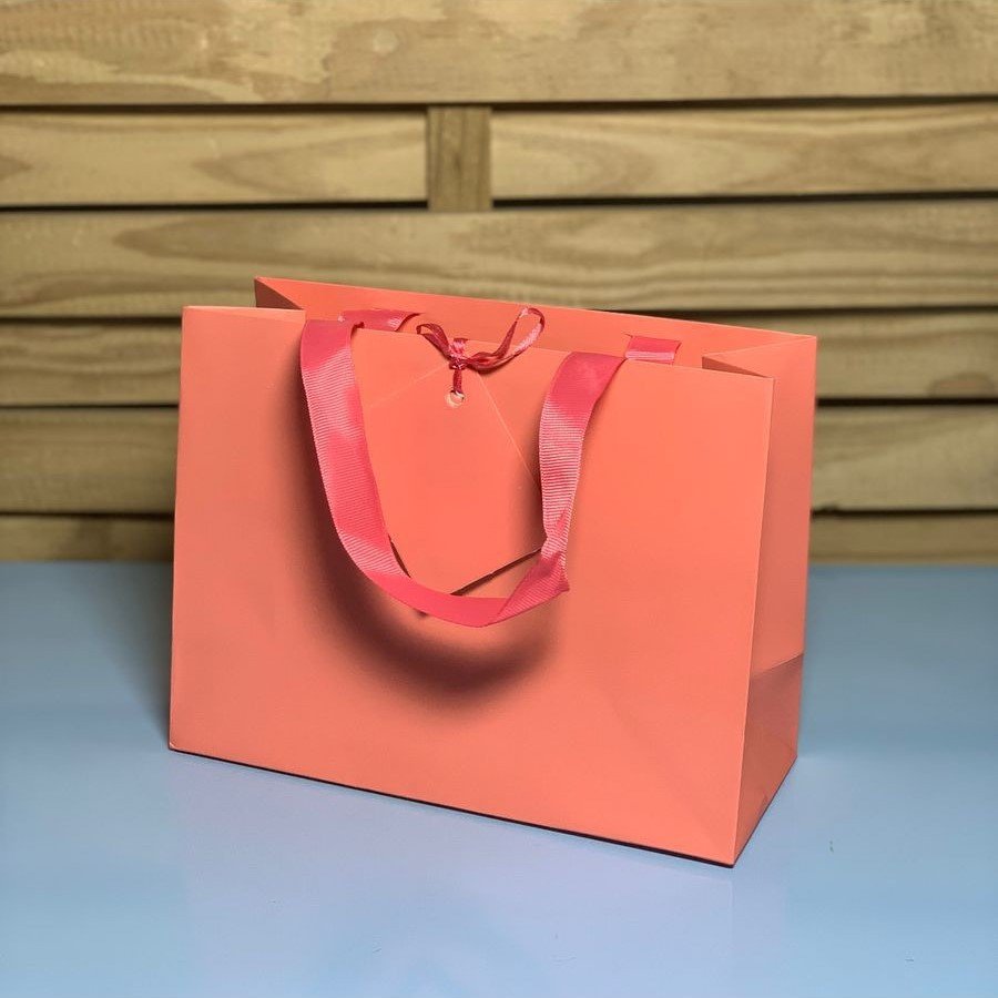 SAC0102 SACOLA PARA PRESENTE DE PAPEL 240 24X18X10CM 989164