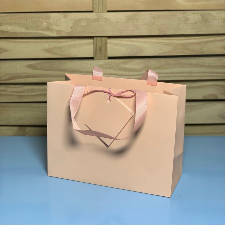 SAC0102 SACOLA PARA PRESENTE DE PAPEL 240 24X18X10CM 989164