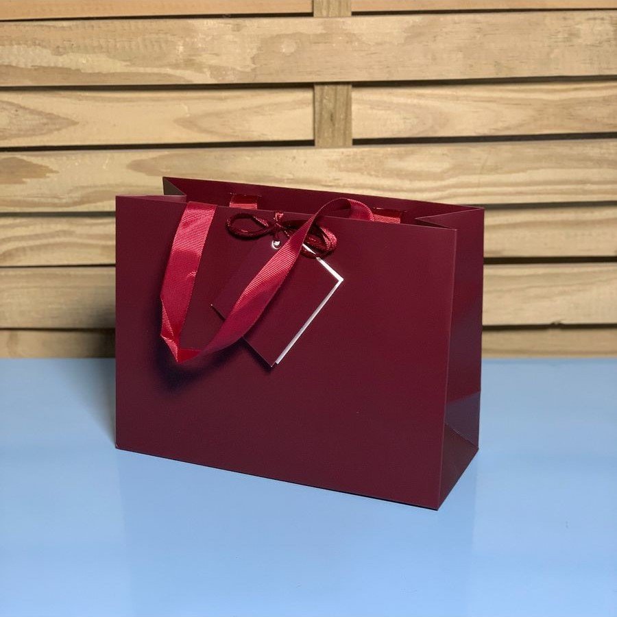 SAC0102 SACOLA PARA PRESENTE DE PAPEL 240 24X18X10CM 989164