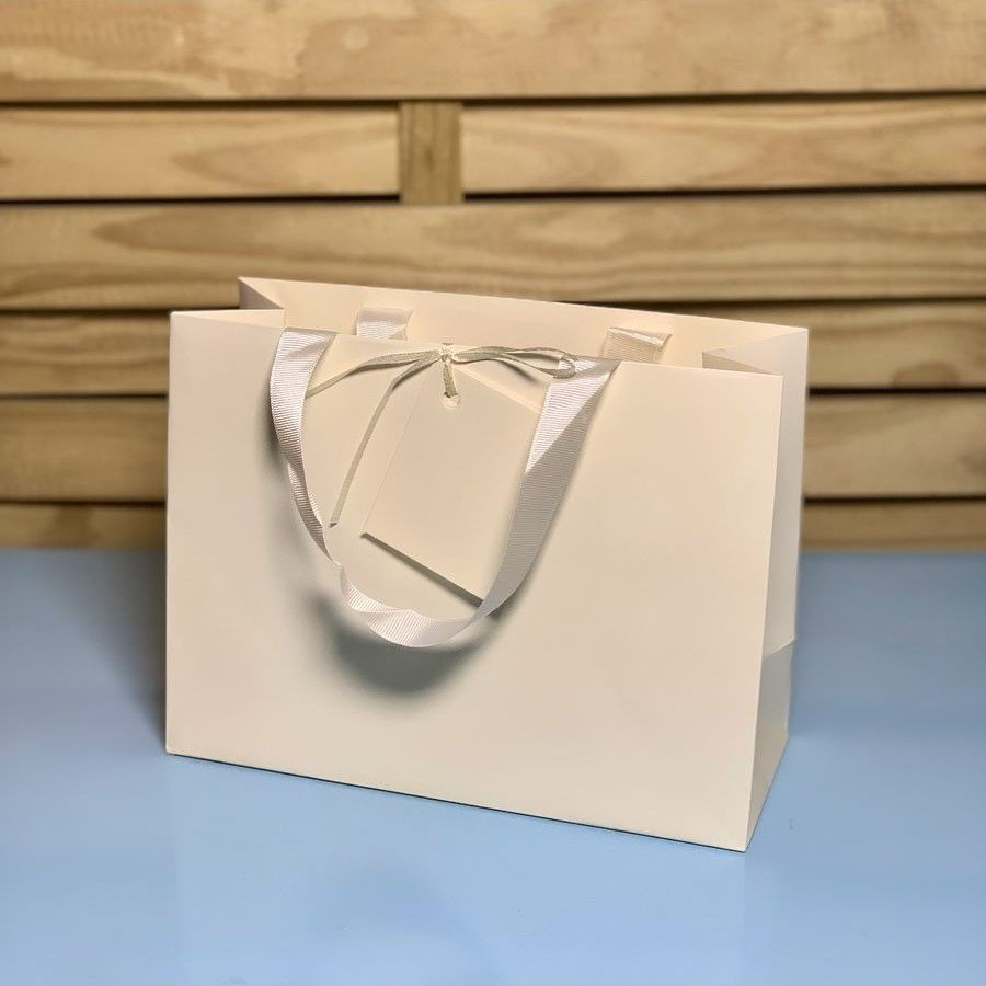 SAC0102 SACOLA PARA PRESENTE DE PAPEL 240 24X18X10CM 989164