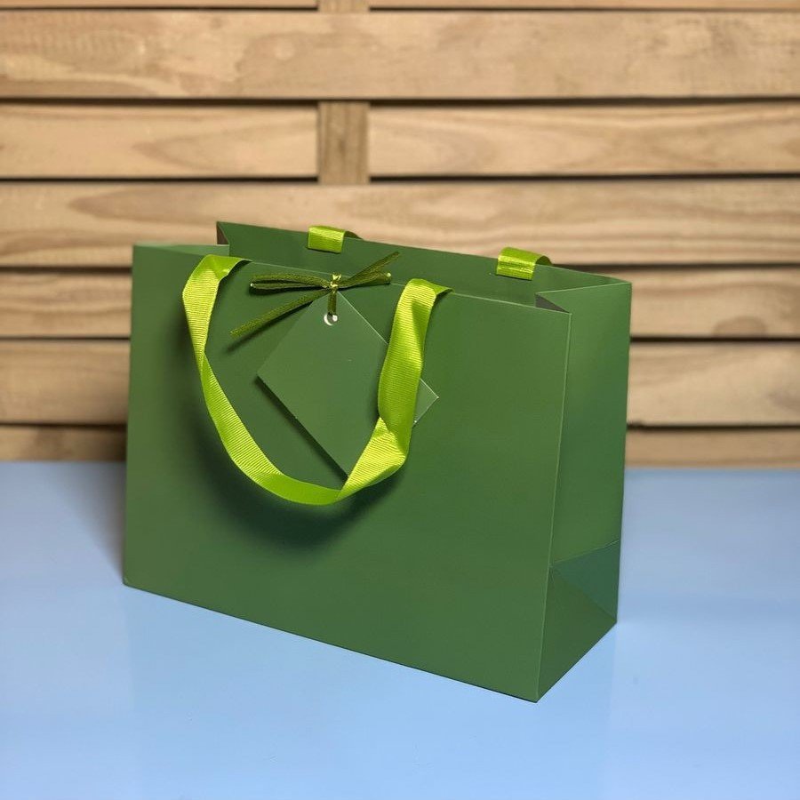 SAC0102 SACOLA PARA PRESENTE DE PAPEL 240 24X18X10CM 989164