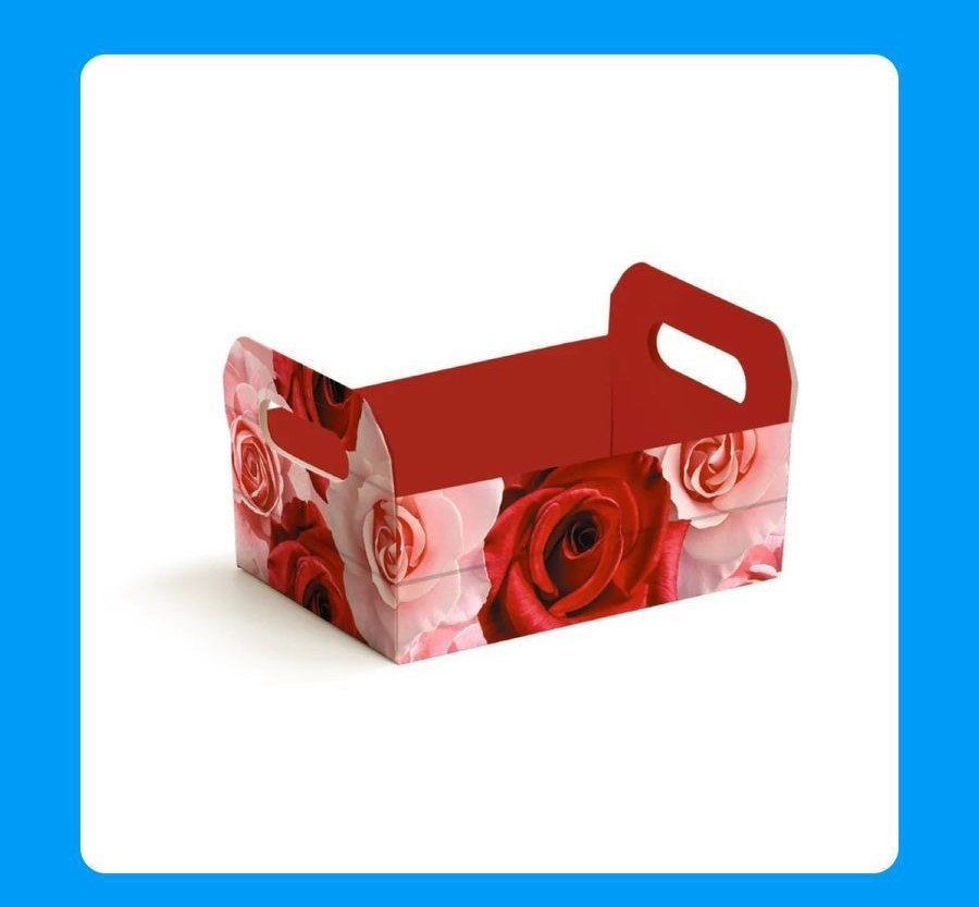 CAIXOTE DE CARTAO BELLE G 25X19X10 13003561 312241