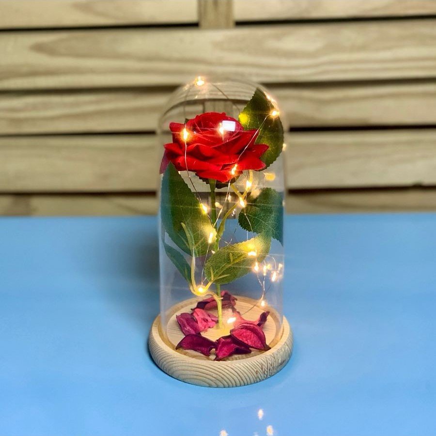 ENFEITE DECORATIVO CUPULA ROSA DC0175VERM 570160