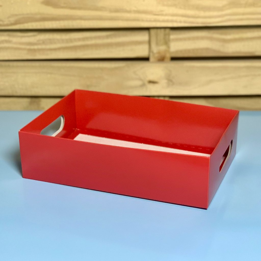 CESTA BANDEJA VRM P 22X15X6 695795 13100691