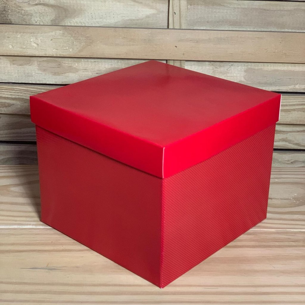 CAIXA ACOPLADA GG 05 22,5X22,5X18,5CM 120915