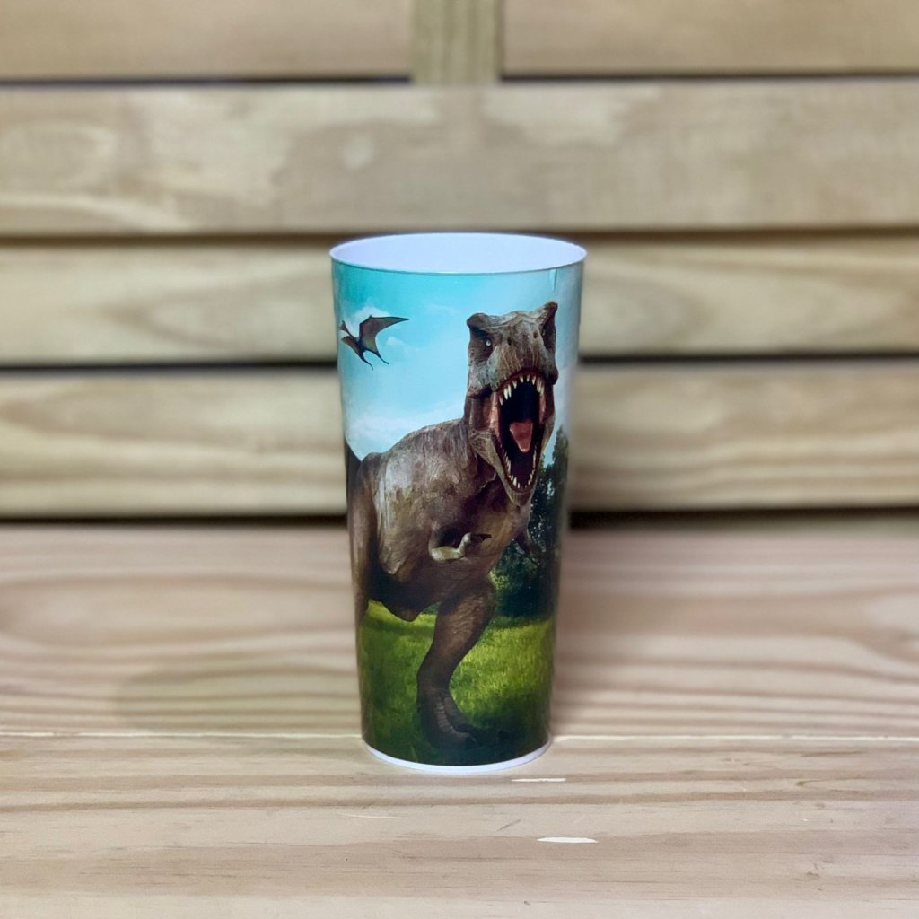 COPO DECORADO AVENTURA RADICAL 350ML 063012