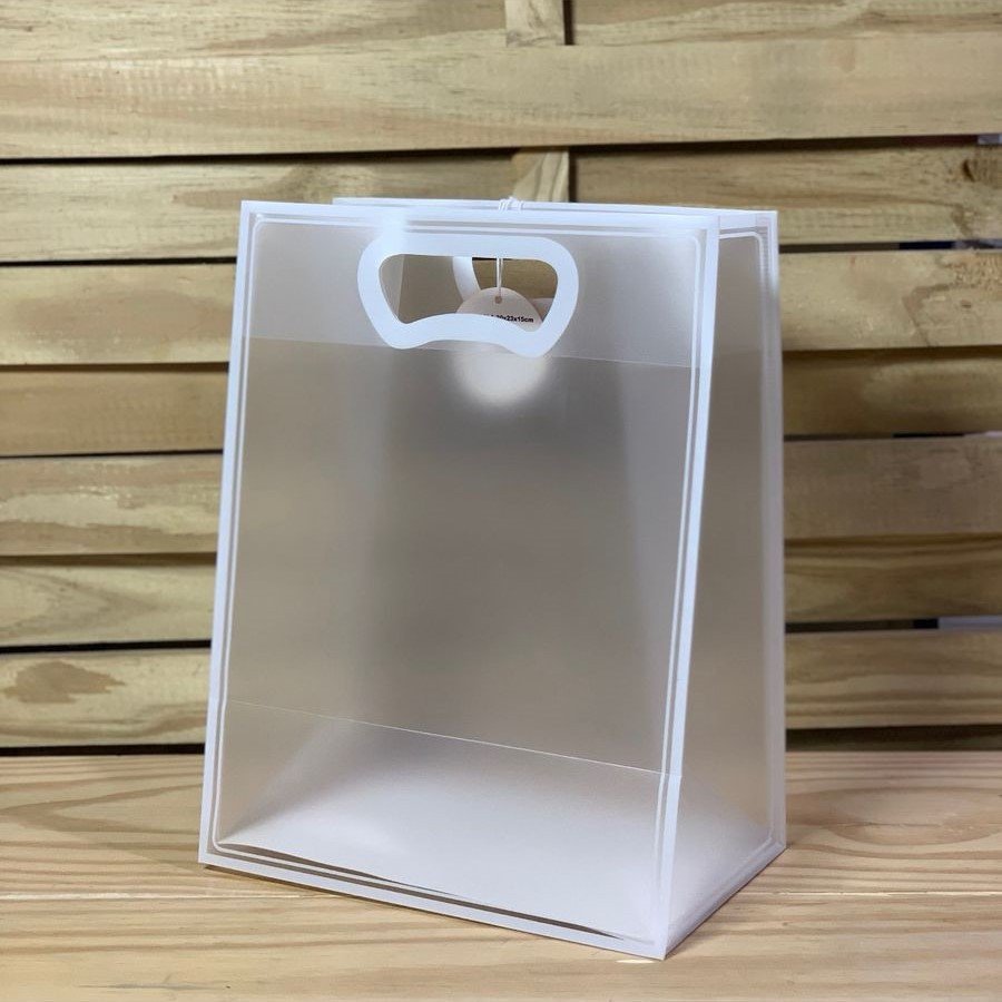 SACOLA PP ALCA PLANA FOSCA 30X23X15 043442 19001020