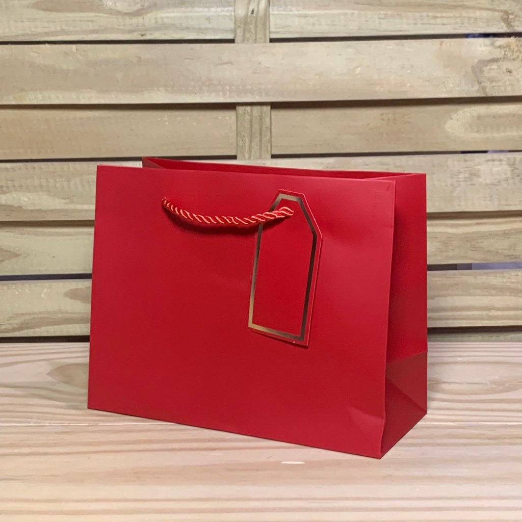 SACOLA PARA PRESENTE DE PAPEL 18X23X10CM 597112