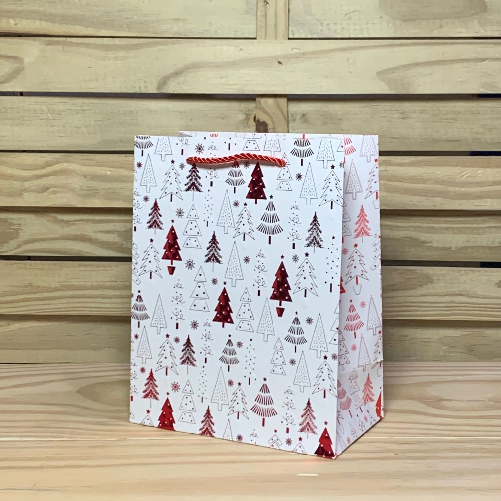 SCX0150 SACOLA PARA PRESENTE DE PAPEL 18X10X23CM 408373