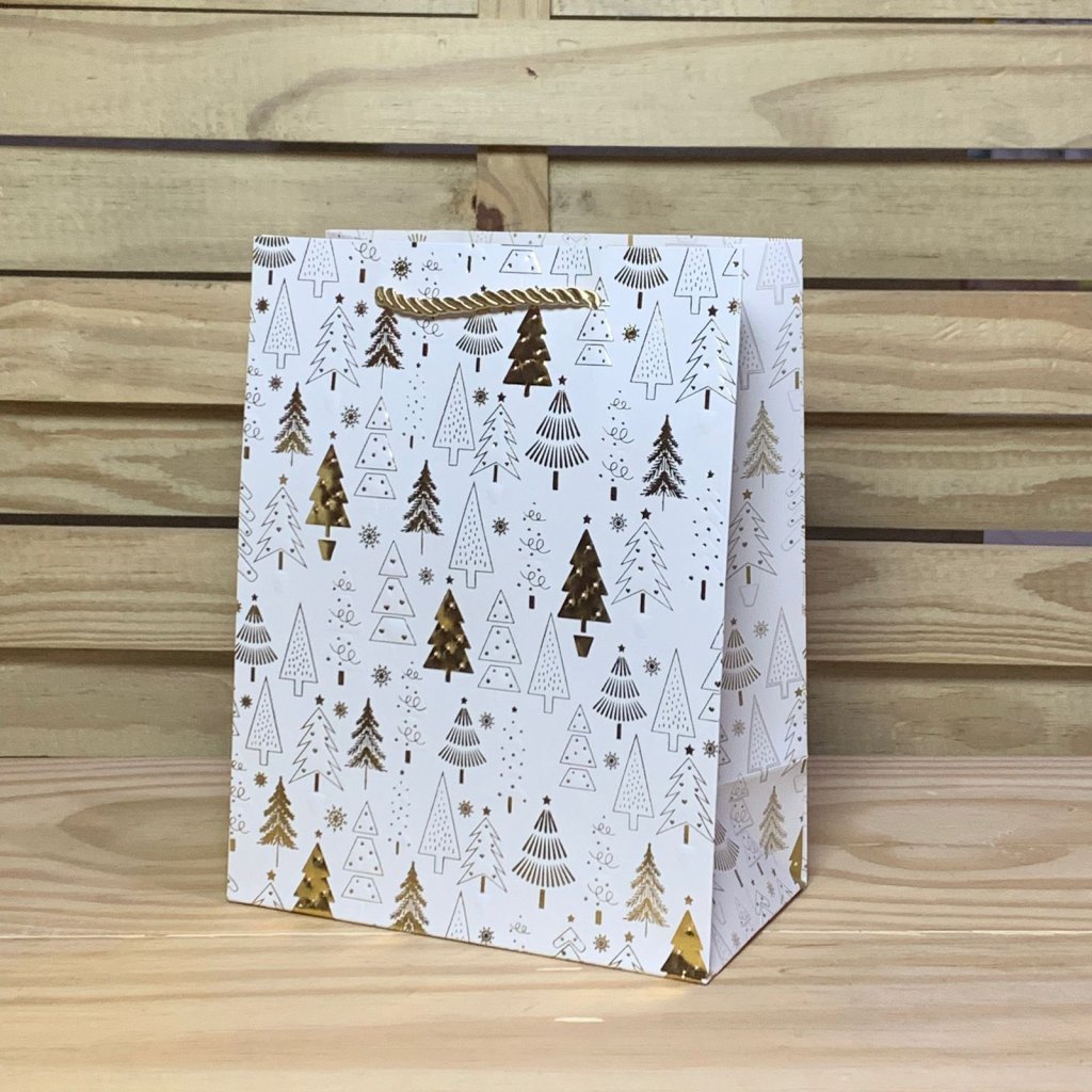 SCX0150 SACOLA PARA PRESENTE DE PAPEL 18X10X23CM 408373