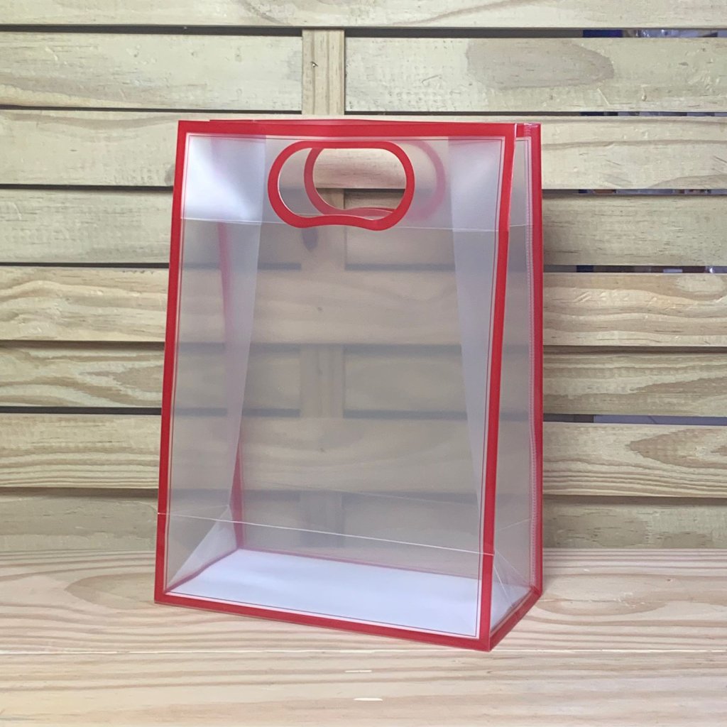 SACOLA TRANSPARENTE BORDA COLOR M 22X30X11CM 912992 FJ91369
