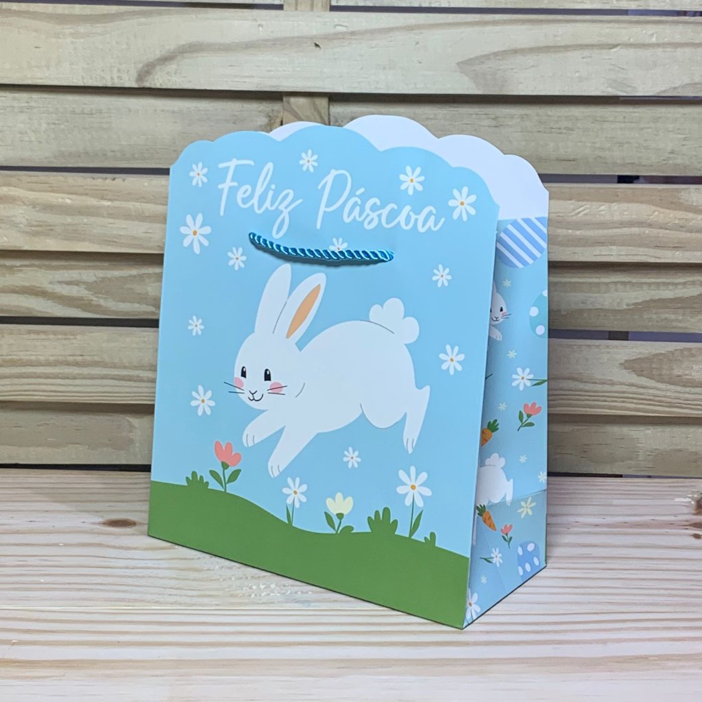 SCP0012 SACOLA PARA PRESENTE DE PAPEL 240 22X10X21CM 990726