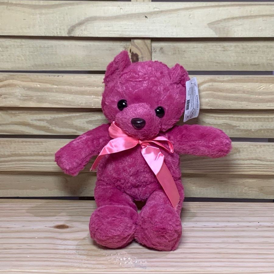 YFM-25-0807 BRINQUEDO URSO 19CM SORTIDAS 022102