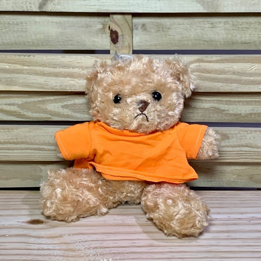 BRINQUEDO DE PELUCIA 30 CM - URSO 237623