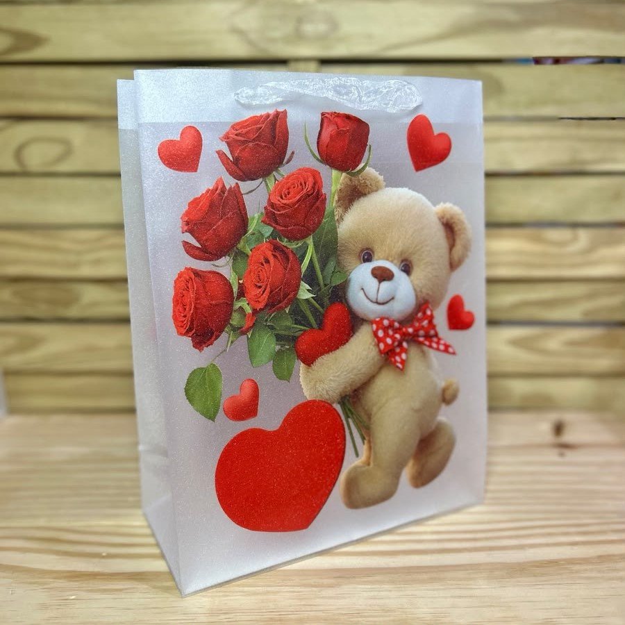 SACOLA TRANSPARENTE URSO G 25X33X12CM SORTIDO 106695