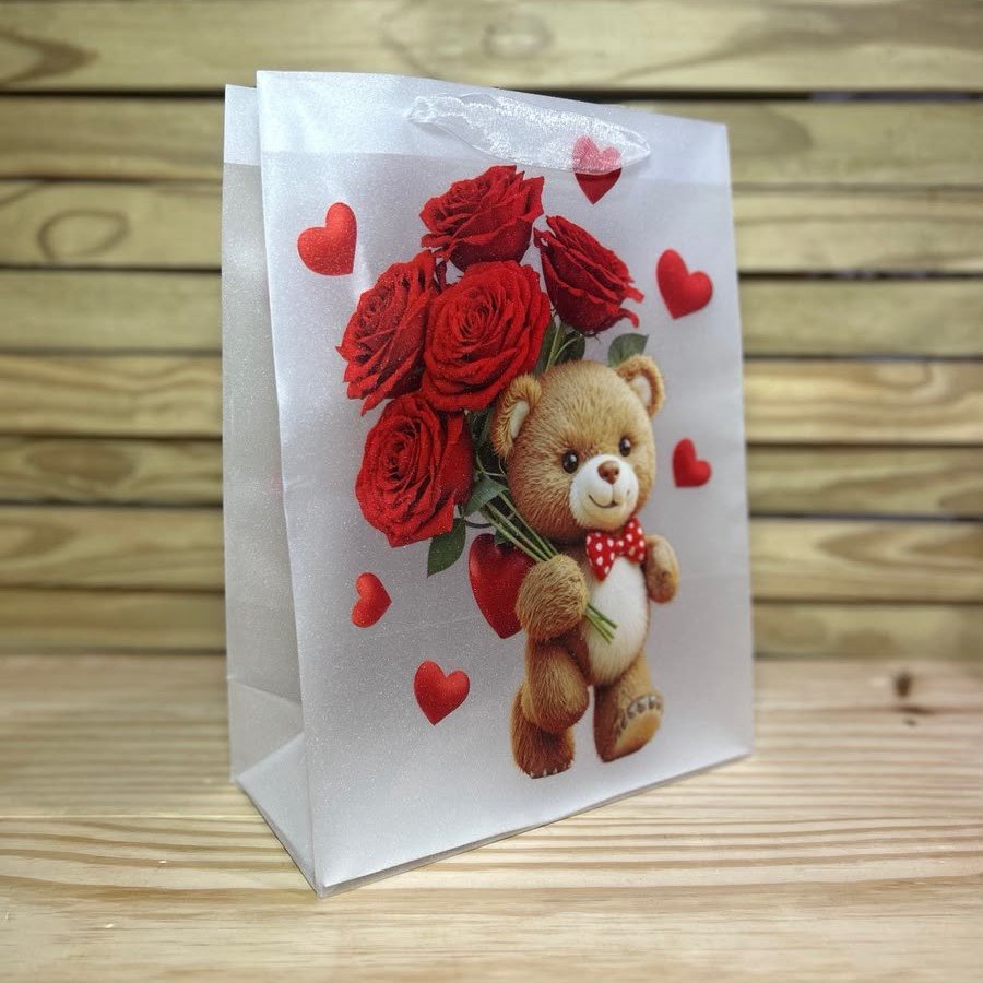SACOLA TRANSPARENTE URSO G 25X33X12CM SORTIDO 106695