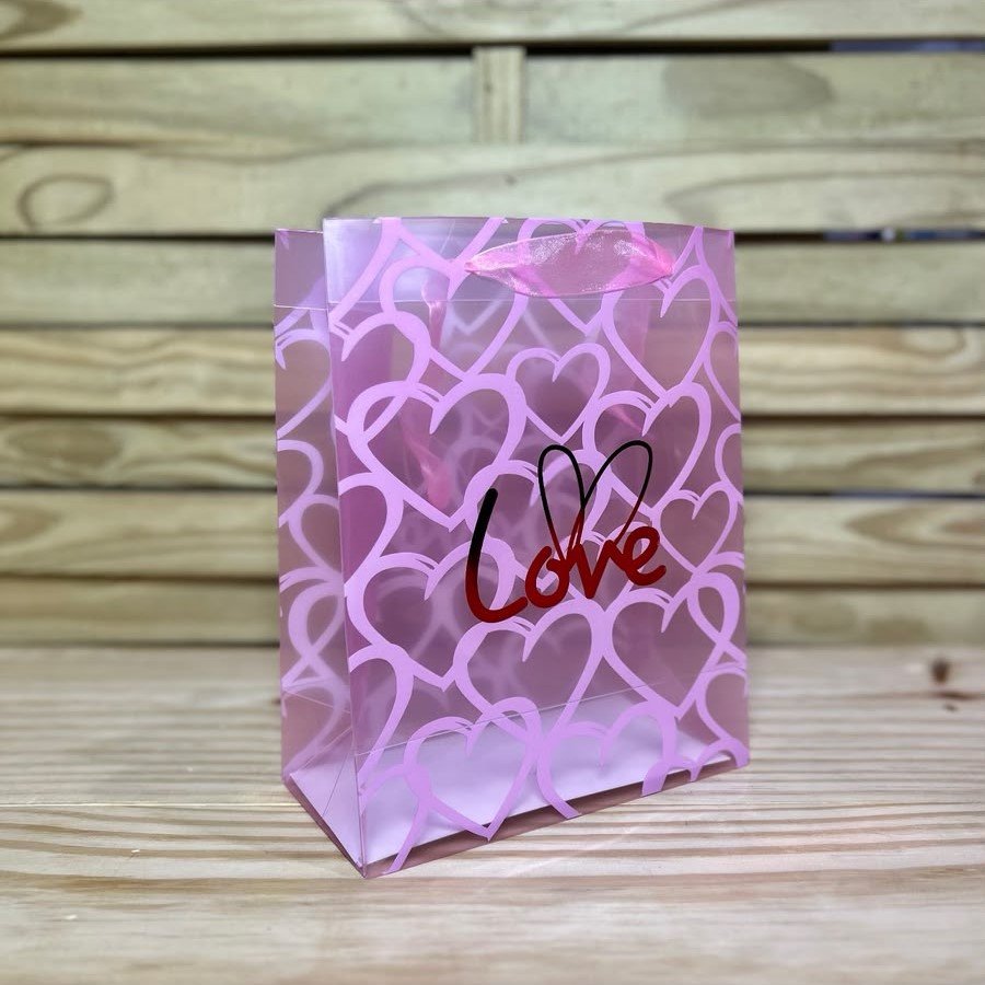 SACOLA TRANSPARENTE 19,5X24,5X9,5CM SORTIDO 106701