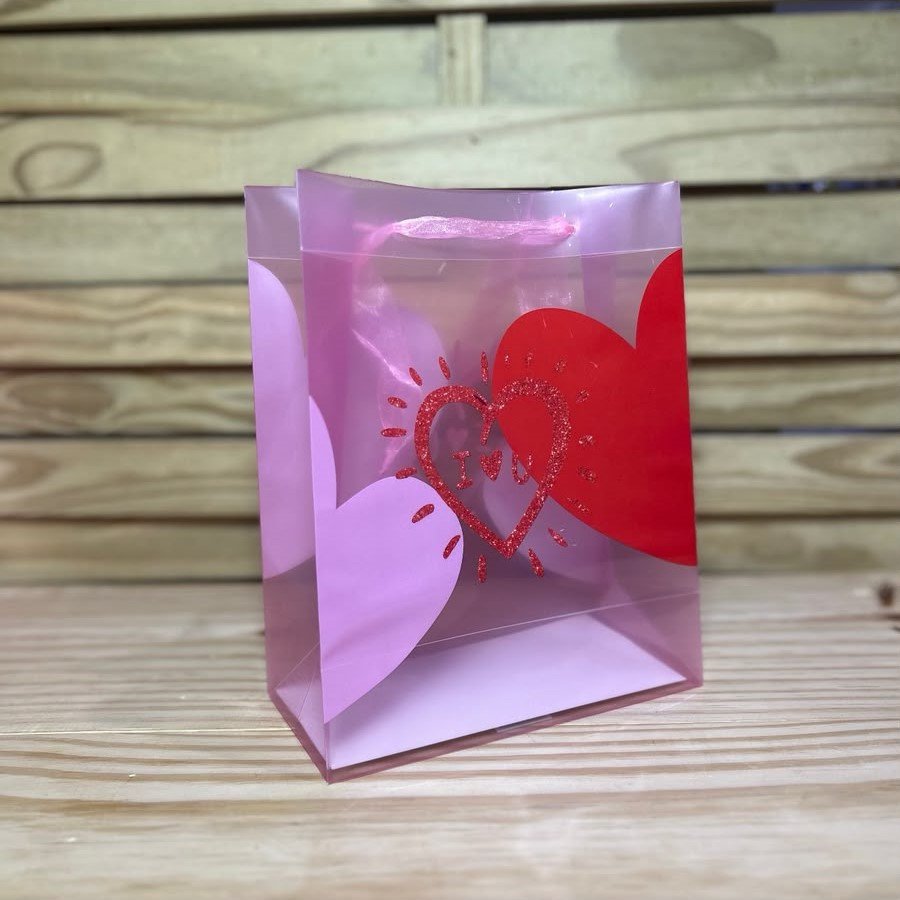 SACOLA TRANSPARENTE 19,5X24,5X9,5CM SORTIDO 106701