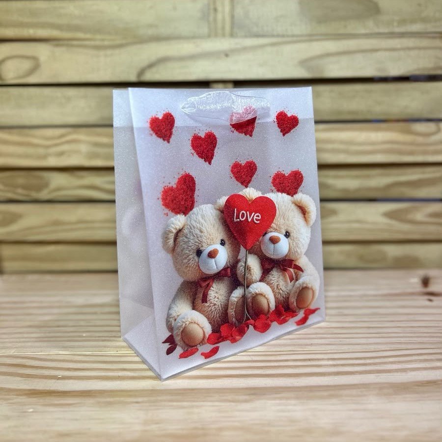 SACOLA TRANSPARENTE URSO P 19,5X24,5X9,5CM SORTIDO 106688