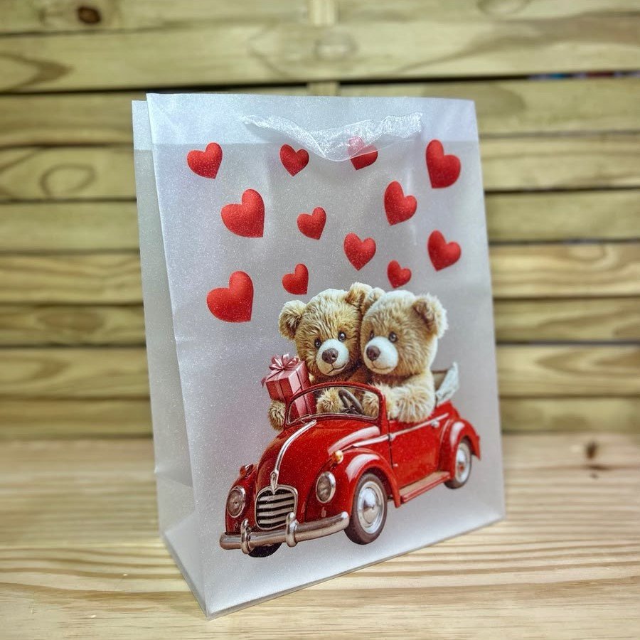 SACOLA TRANSPARENTE URSO P 19,5X24,5X9,5CM SORTIDO 106688