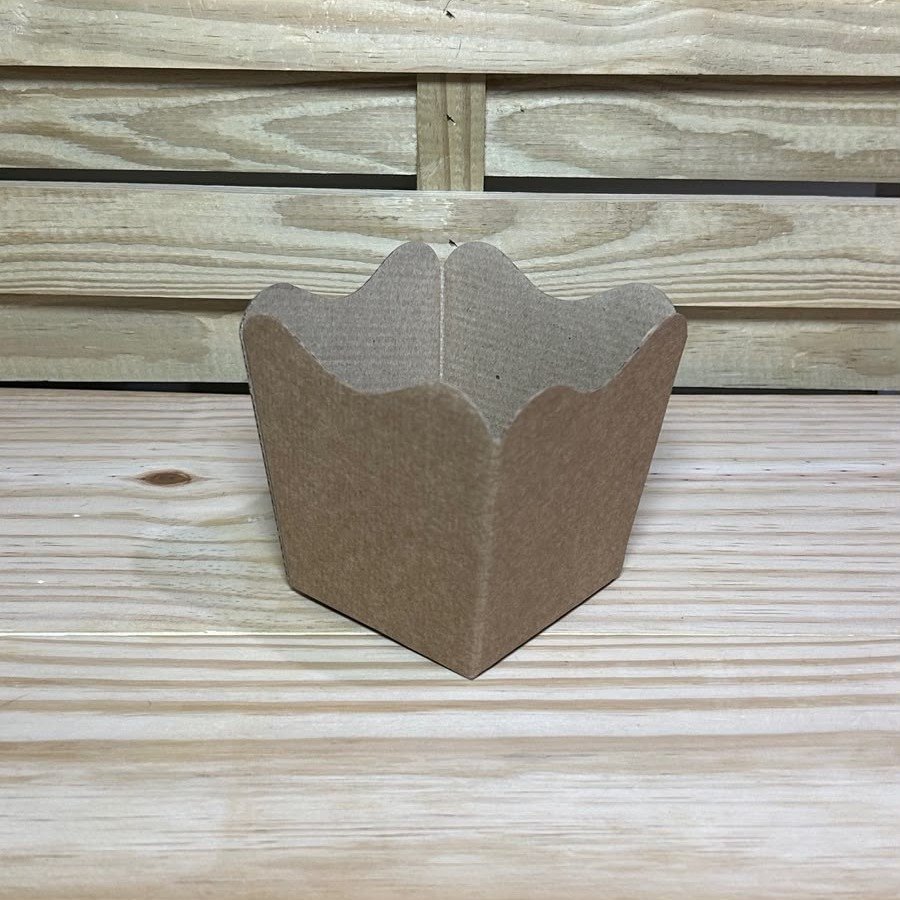 CA. VINTAGE 11 LISO KRAFT C/10 645578
