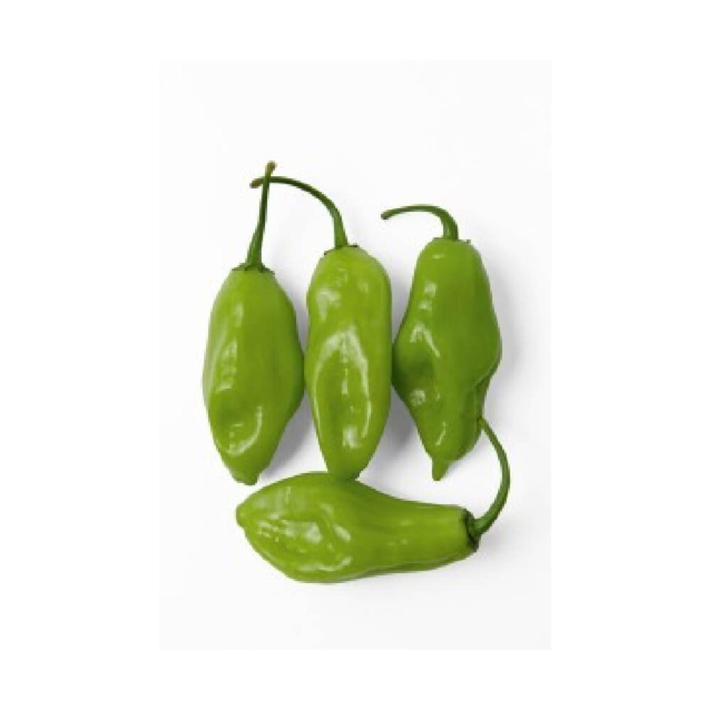 PIMENTA DE CHEIRO (250G)