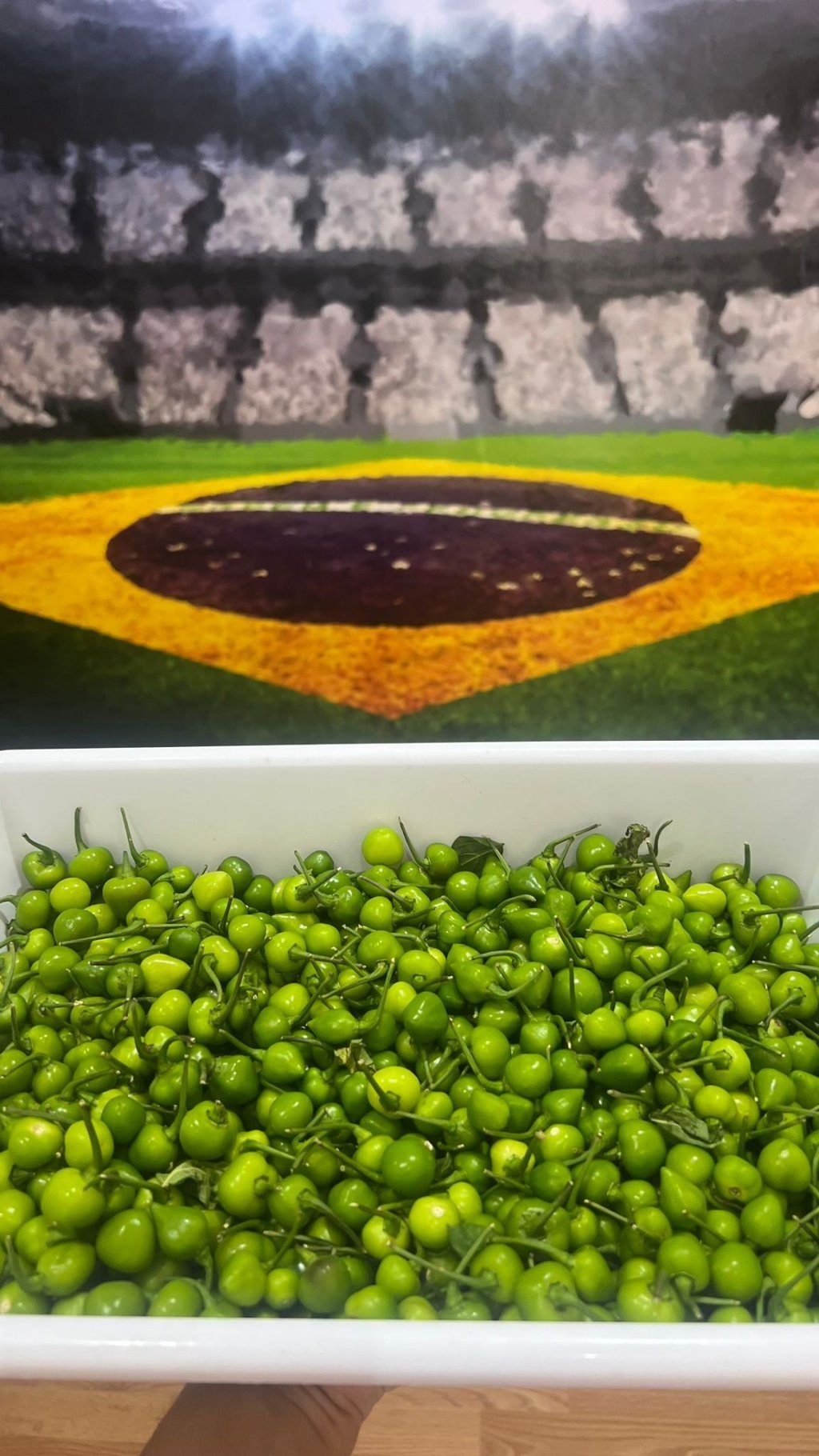 PIMENTA BODE VERDE -250G