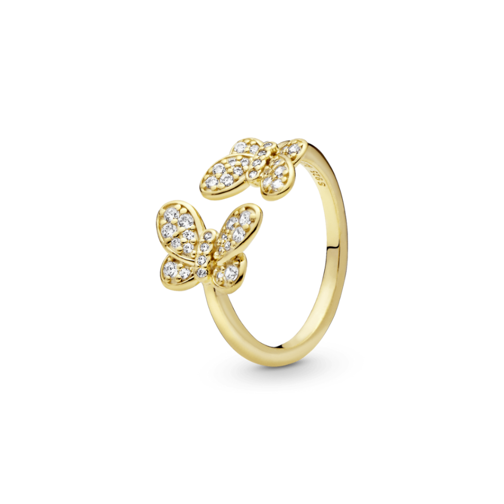 ANEL ASAS PARA VOAR PAN 