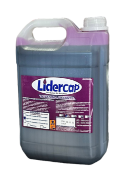 INTERCAP LIDER 1:100