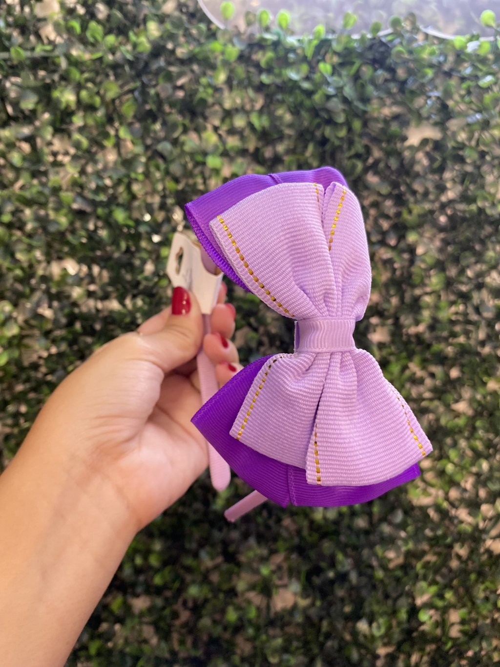 Tiara roxa💜