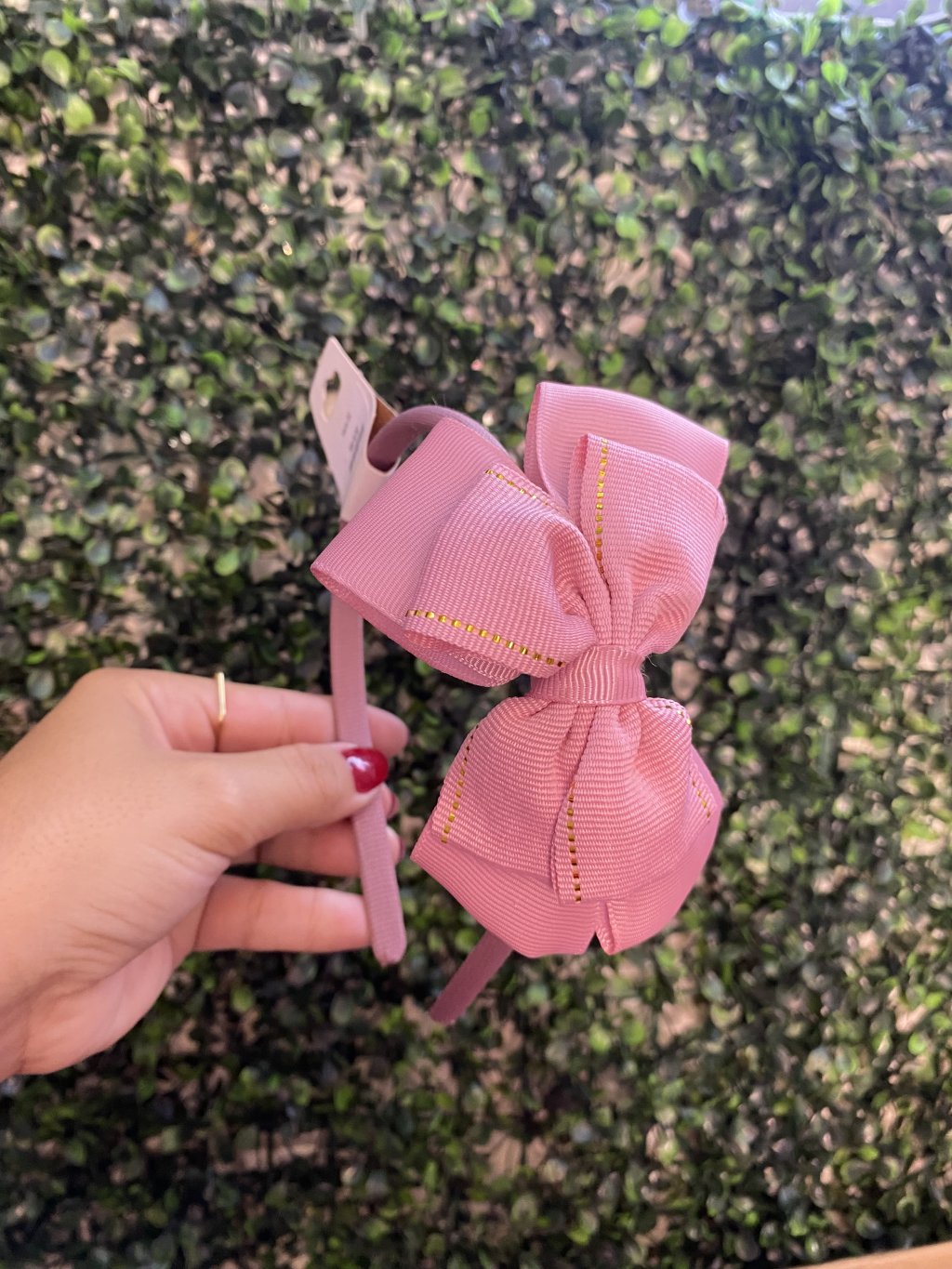 Tiara rosa💗