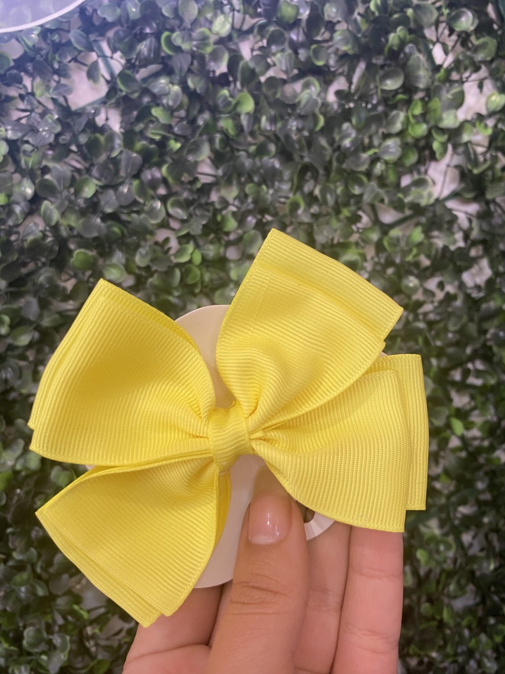 Laço amarelo 