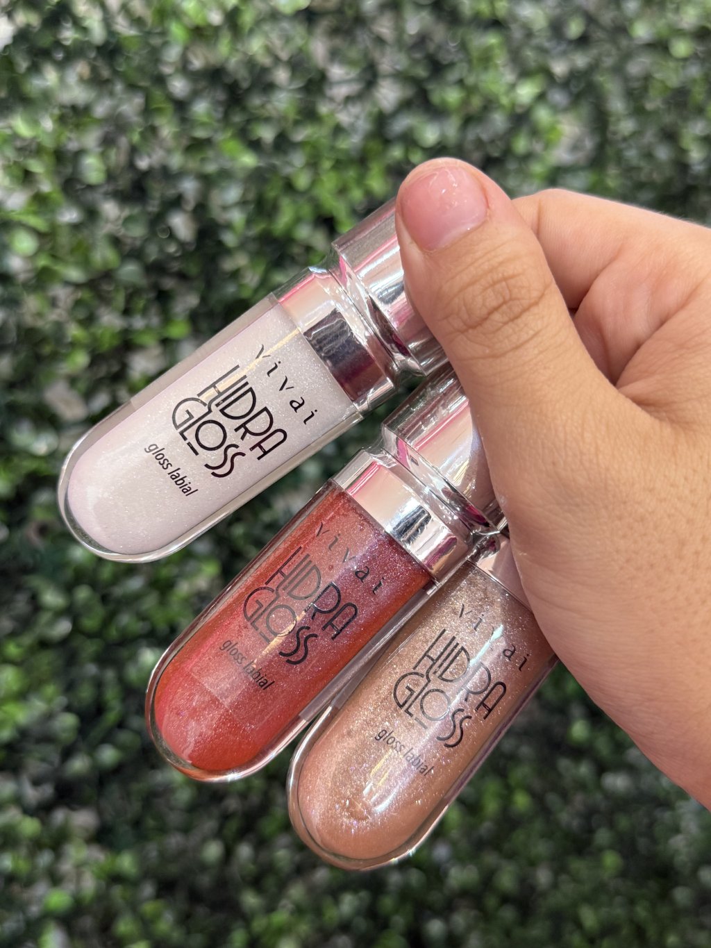 Hidra gloss vivai 