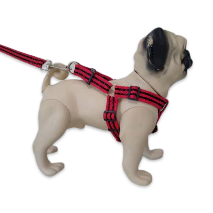 Conjunto Guia Com Peitoral Americano Nylon Ajustável 