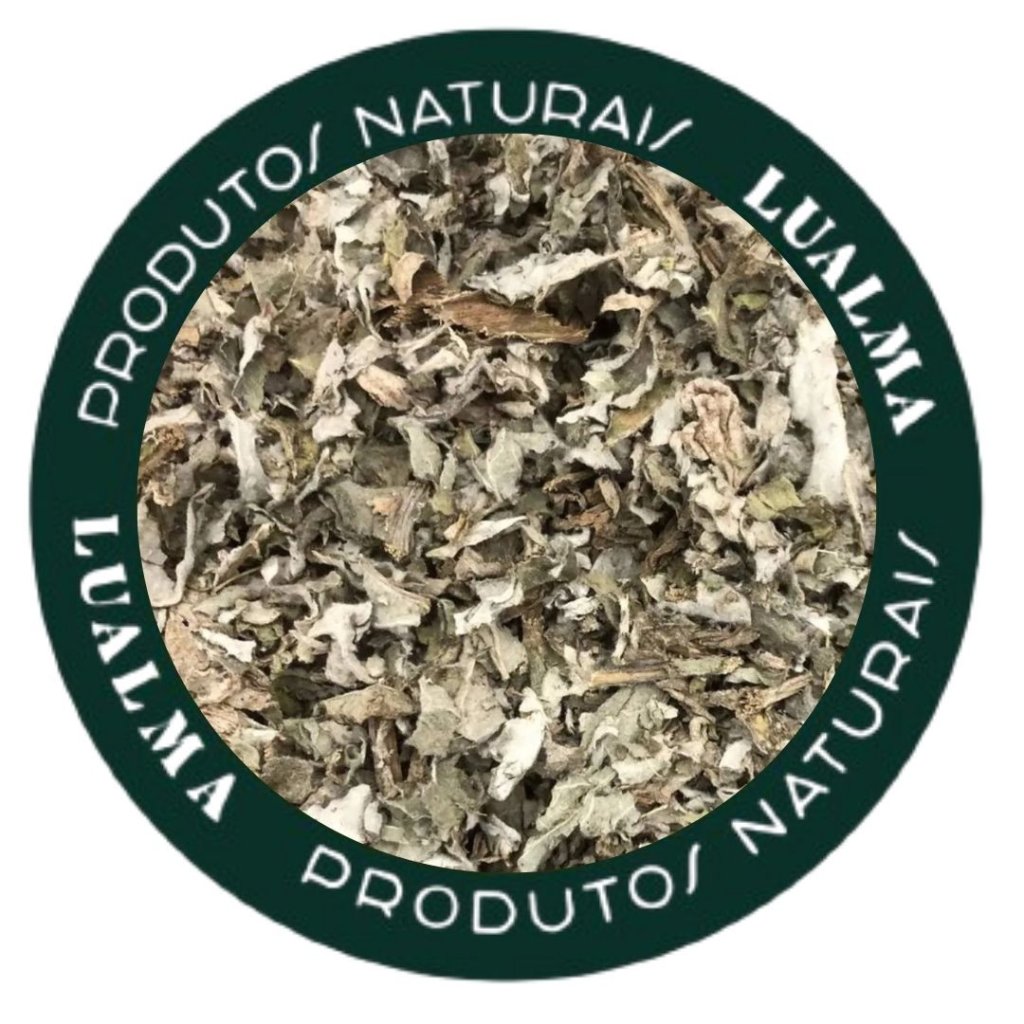ALCACHOFRA (100g)