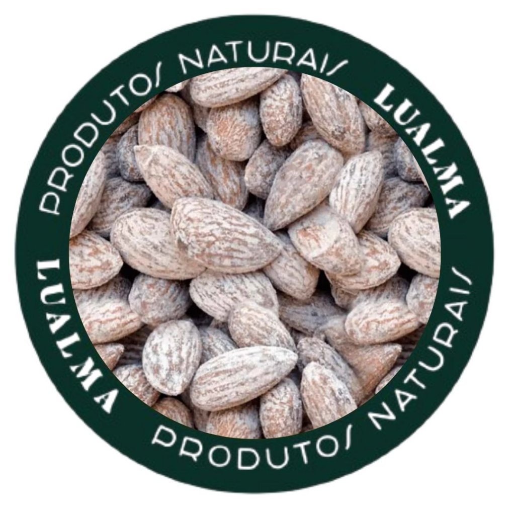 AMÊNDOA TORRADA COM SAL (100G)