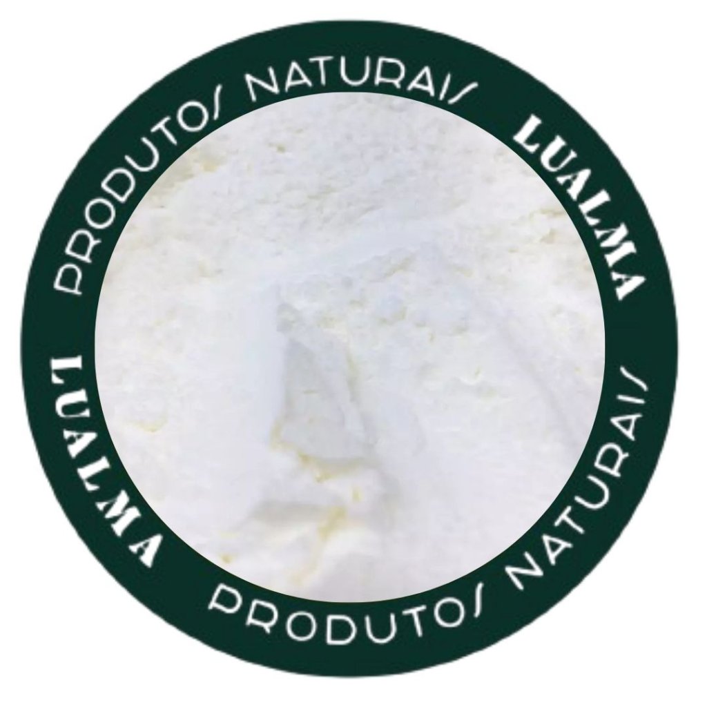 AMIDO DE MILHO (100g)