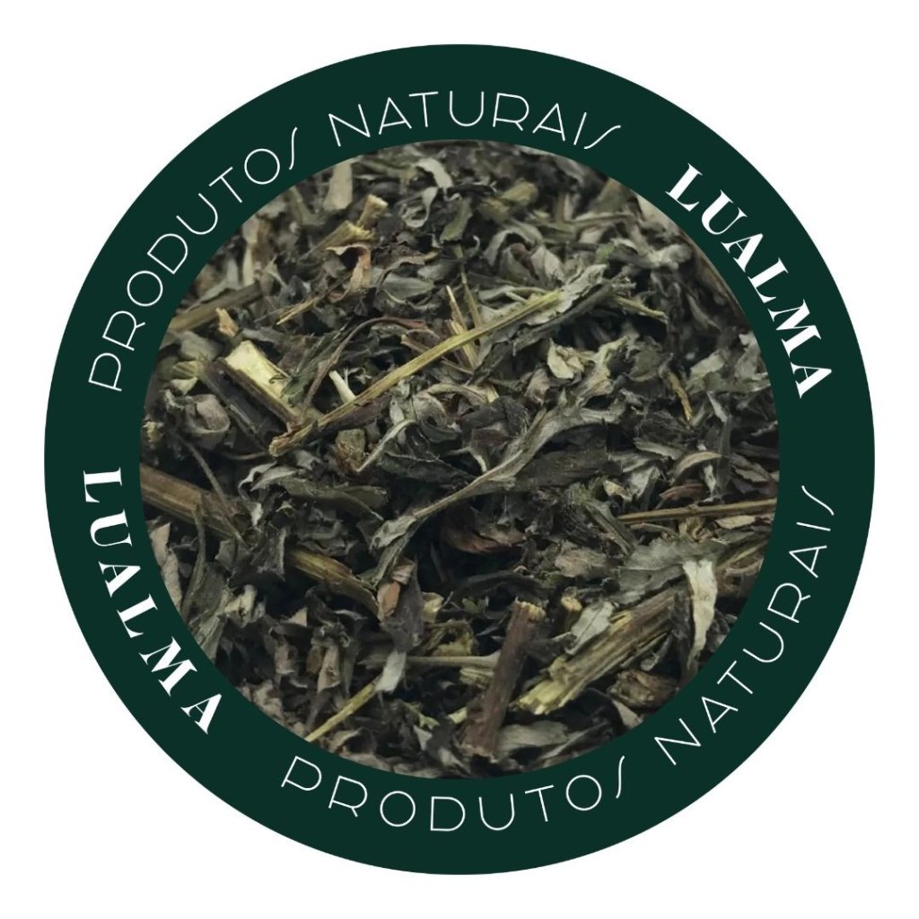 ARTEMISIA (100g)