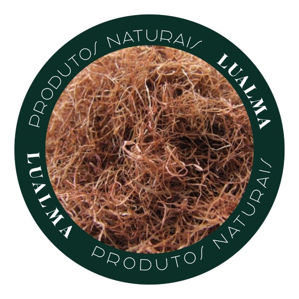 CABELO DE MILHO(100g)
