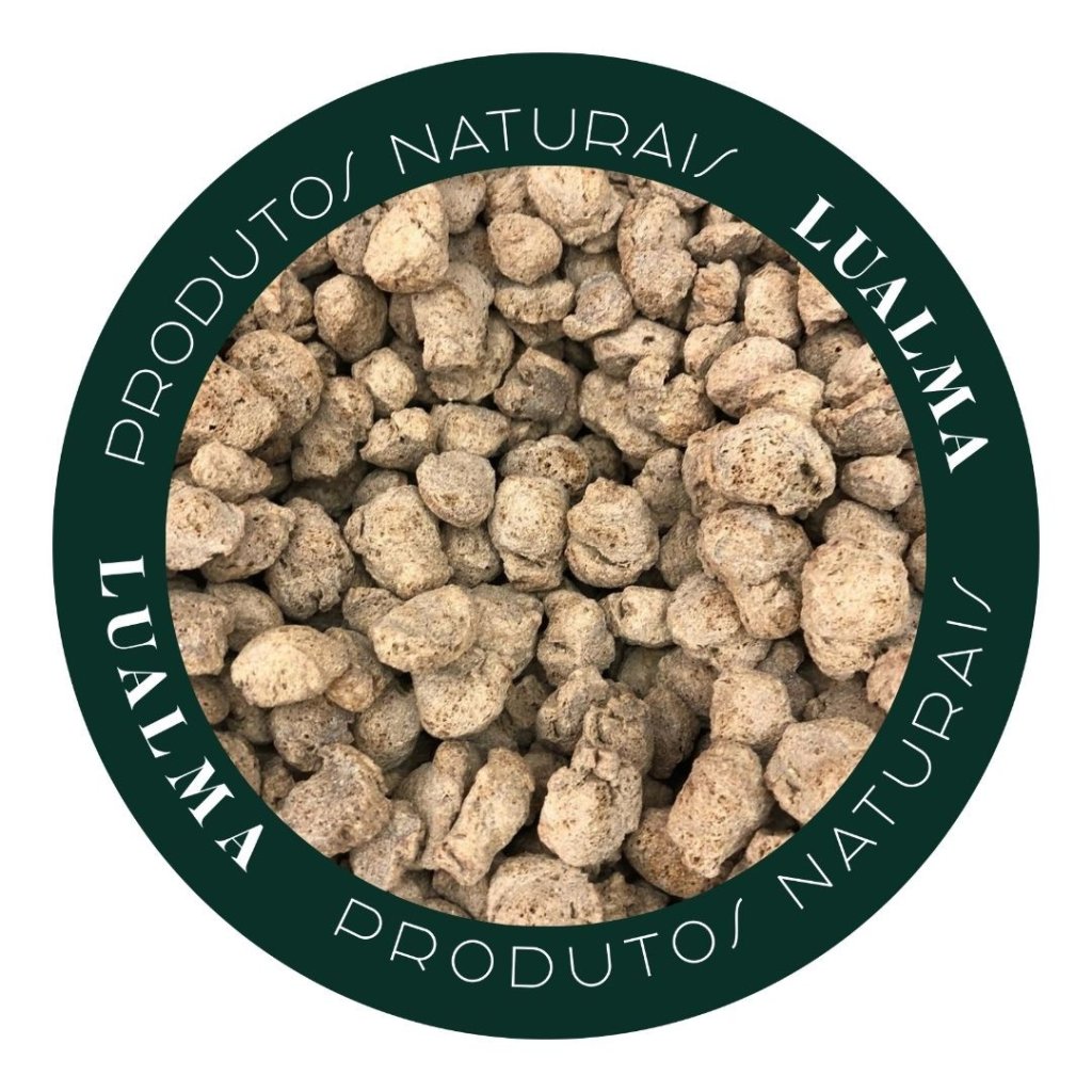 PROTEINA DE SOJA GRAÚDA ESCURA (100g)
