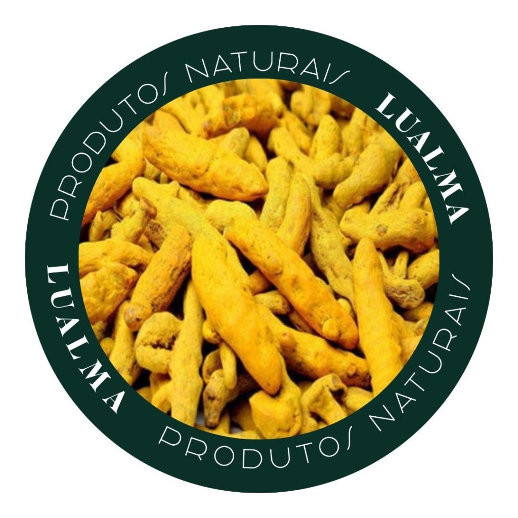 CÚRCUMA RAIZ(100g)