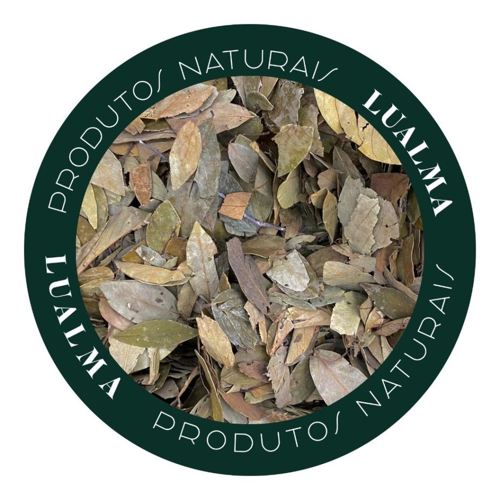 FOLHAS DE GRAVIOLA (100g)