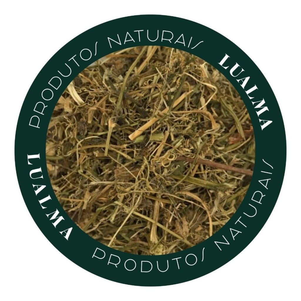 MELÃO DE SÃO CAETANO (100g)