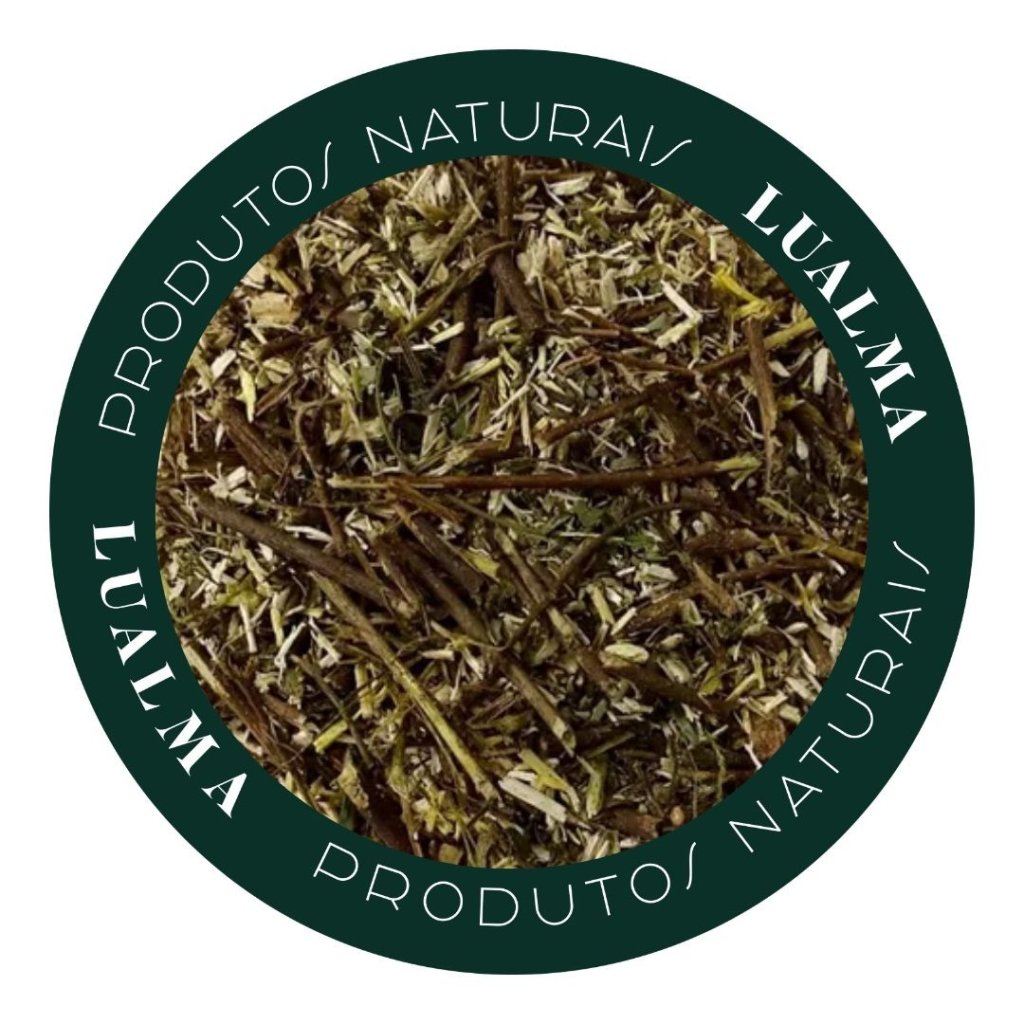 QUEBRA PEDRA (100g)
